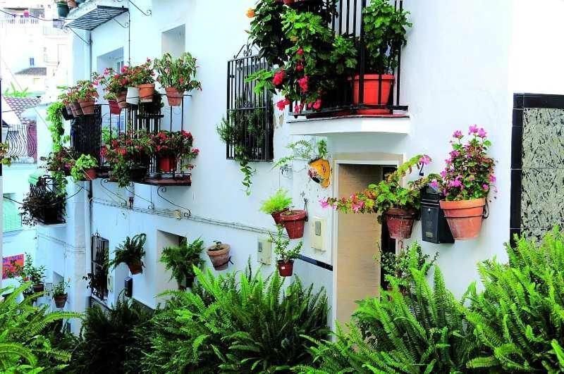 La Viajera Apartman Algarrobo Kültér fotó